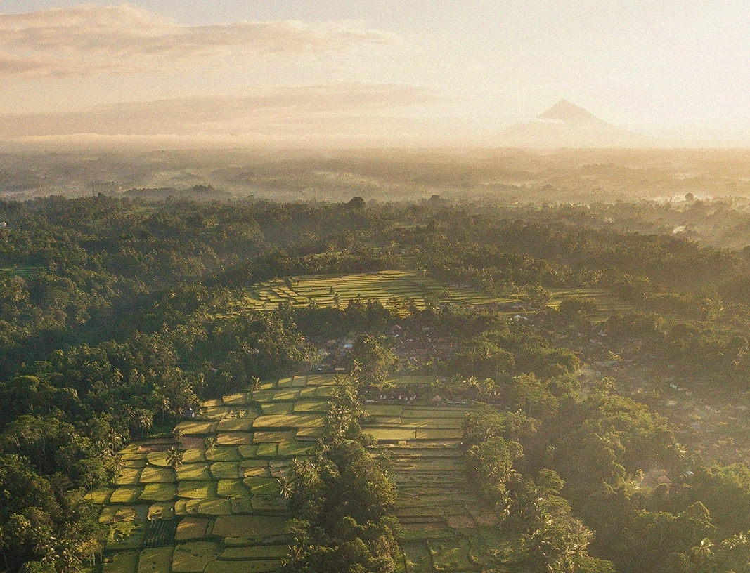 Vue aérienne des rizières en terrasses de Bali, baignées par la lumière dorée du lever du soleil avec un volcan en arrière-plan. Paysage exotique et romantique, idéal pour une lune de miel sur mesure avec Beaux Périples