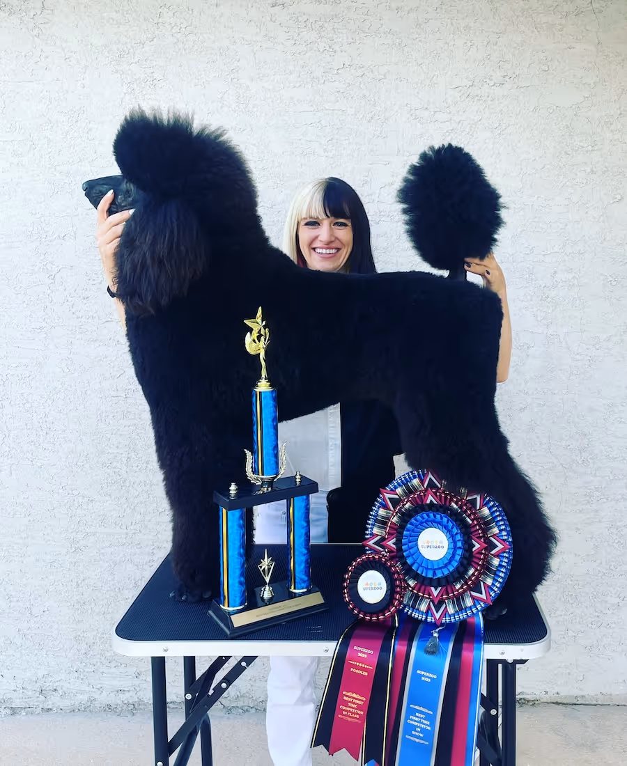 Constance Williams with a poodle, trophy, and ribbon from a dog show