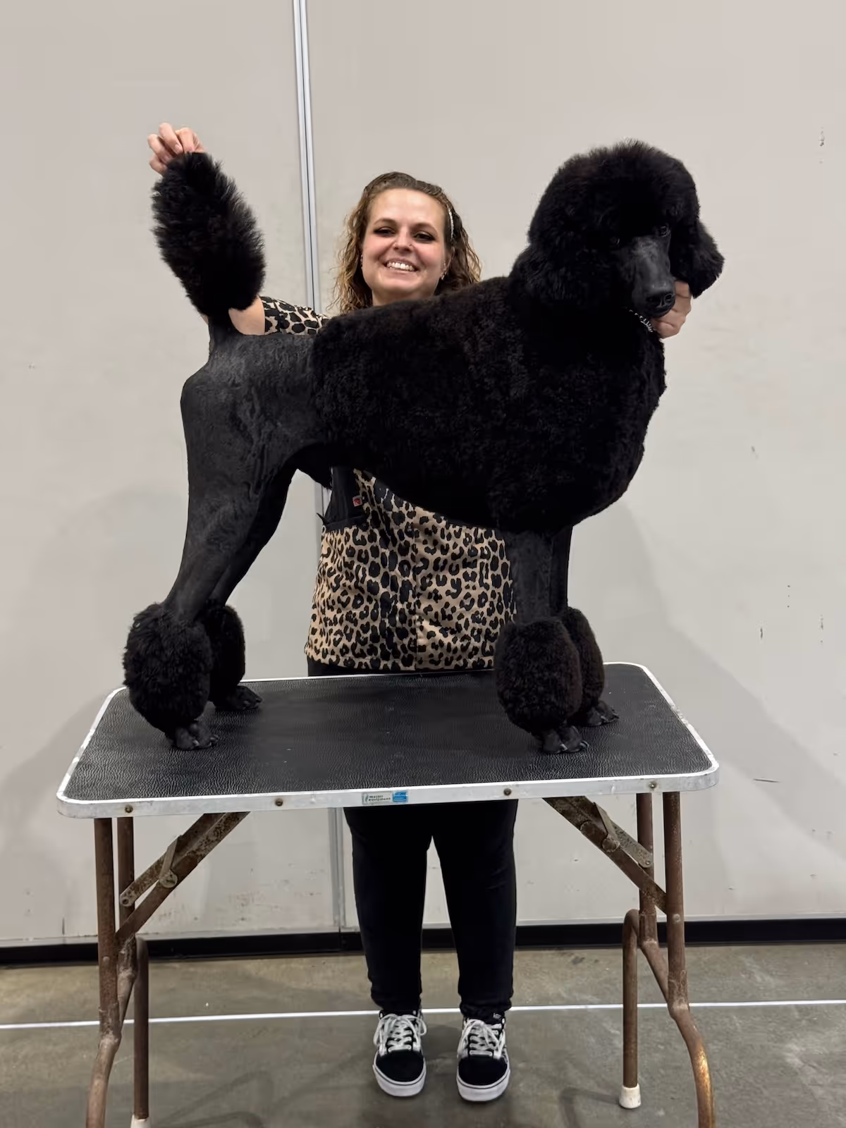 Leah Powell showing a poodle during a dog show