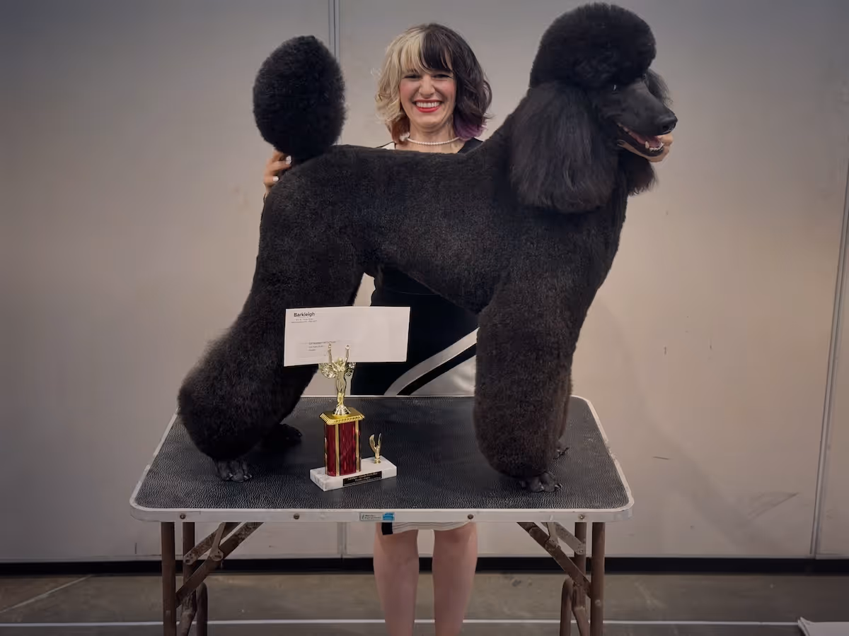 Constance Williams standing with a poodle and trophy during a dog show