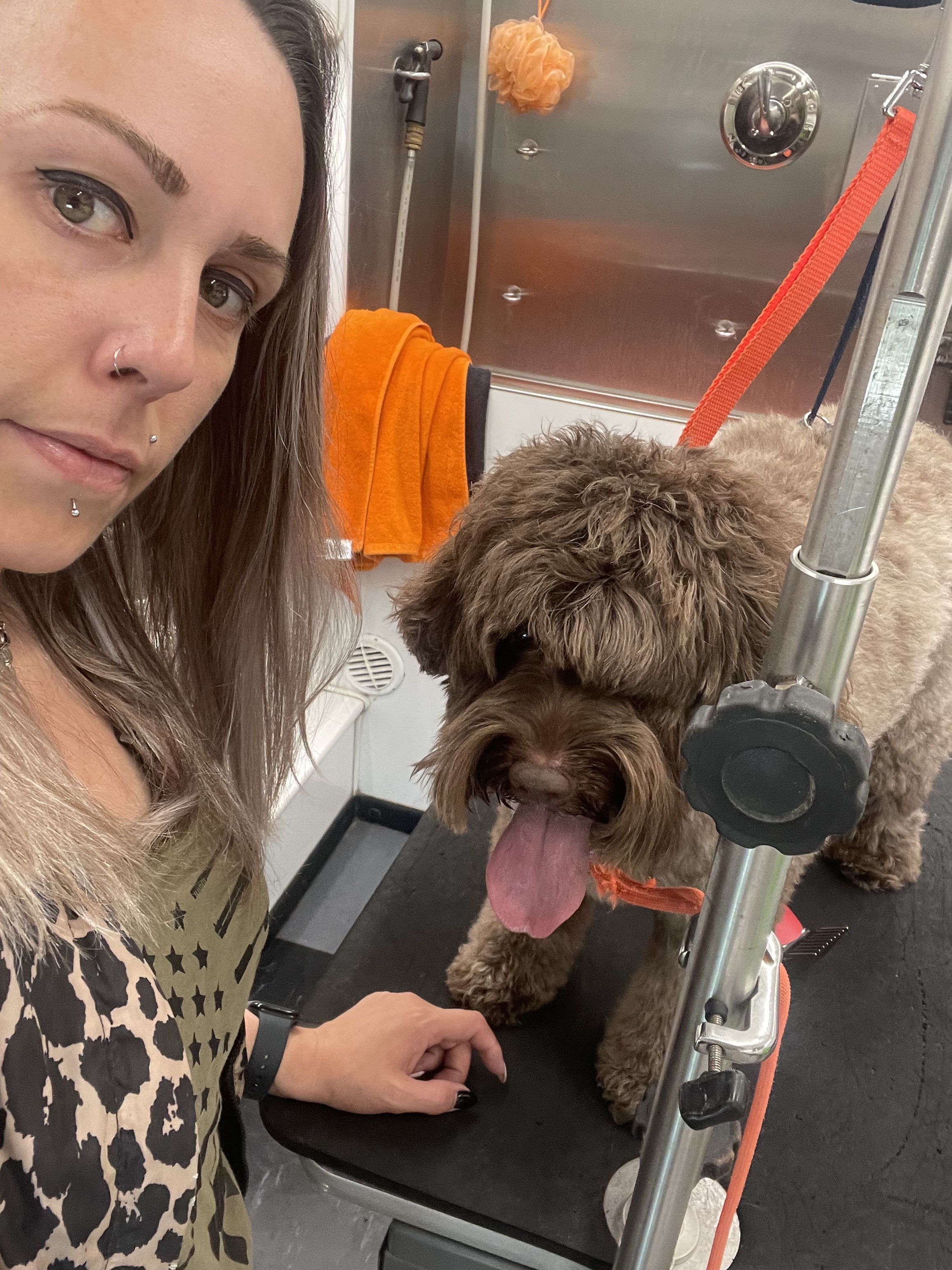 Alyssa Crombie, Hair of the Dog Pet Spa Groomer