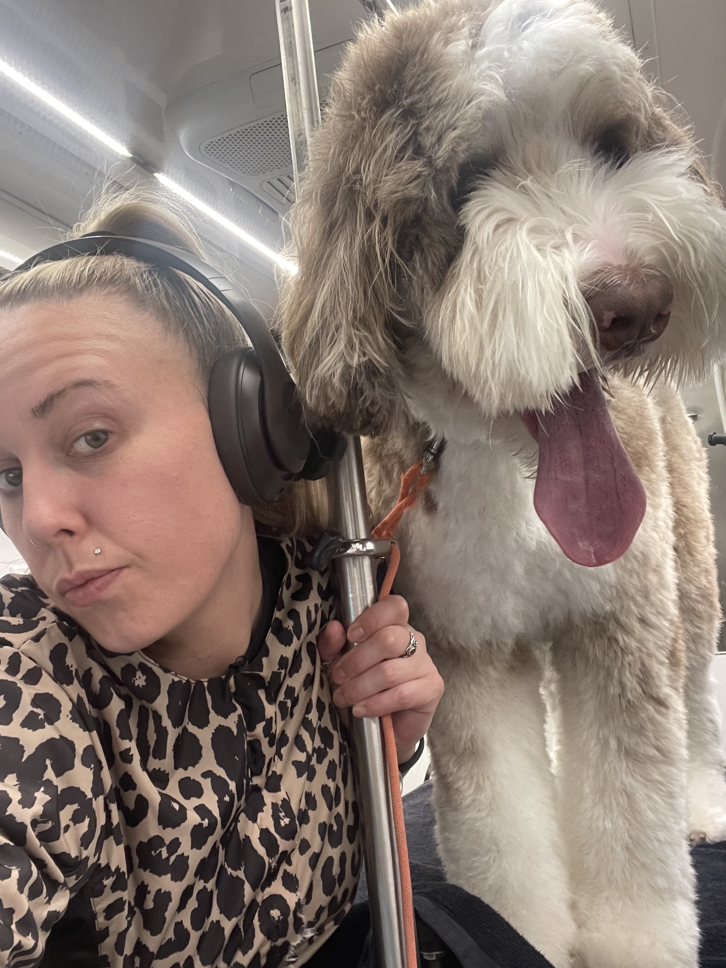 Alyssa Crombie, Hair of the Dog Pet Spa Groomer