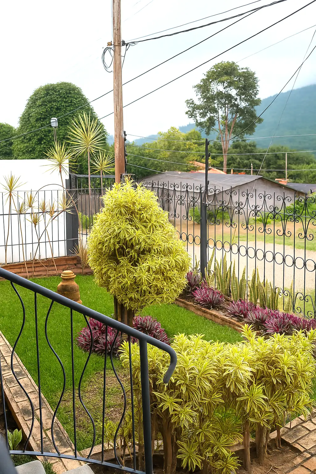 Jardín