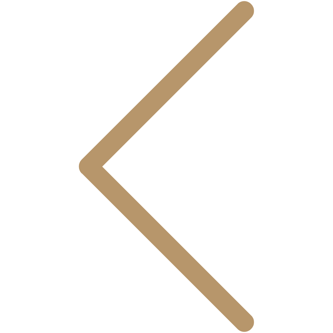 Left gallery arrow.