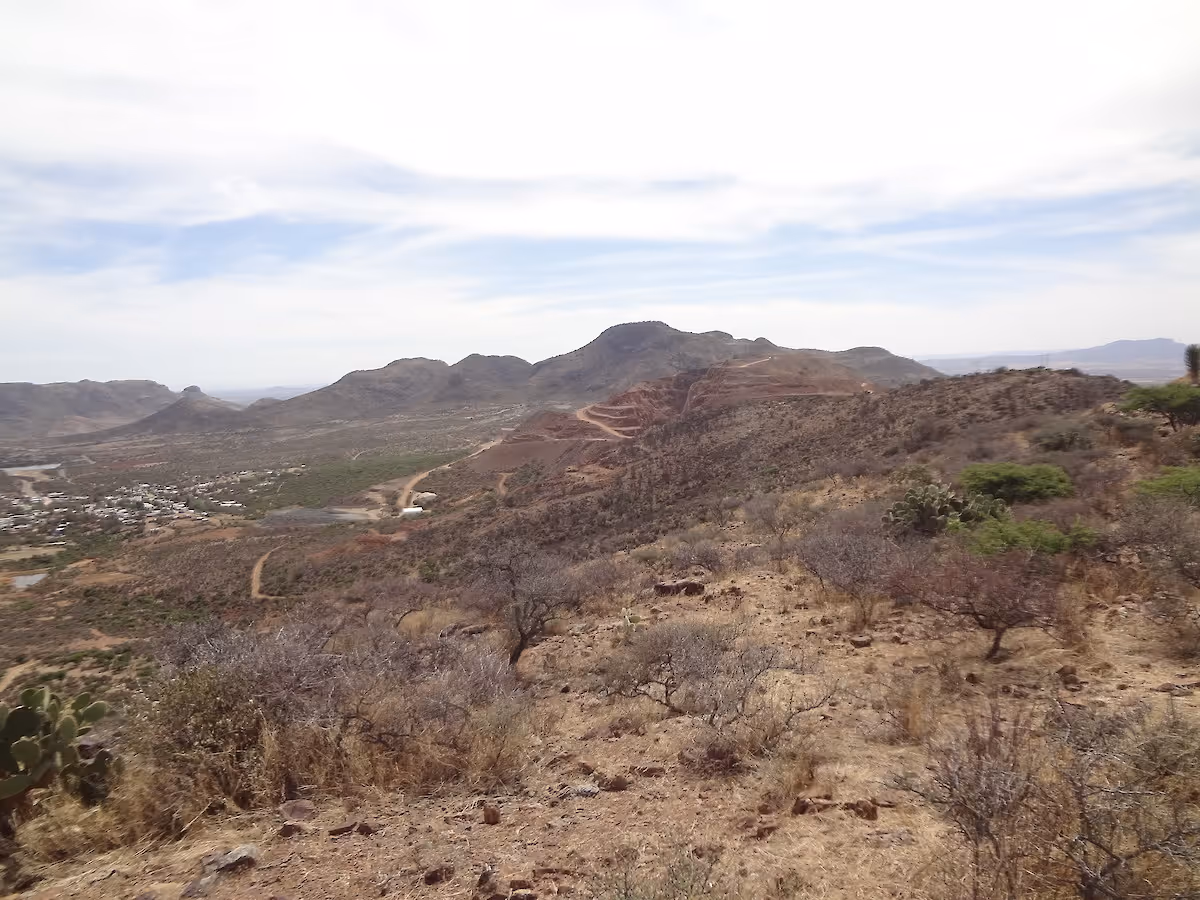 dry area trees and moutnains