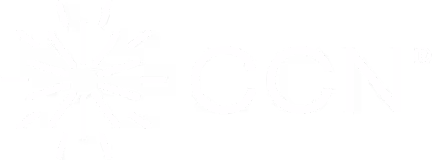 CCN health logo