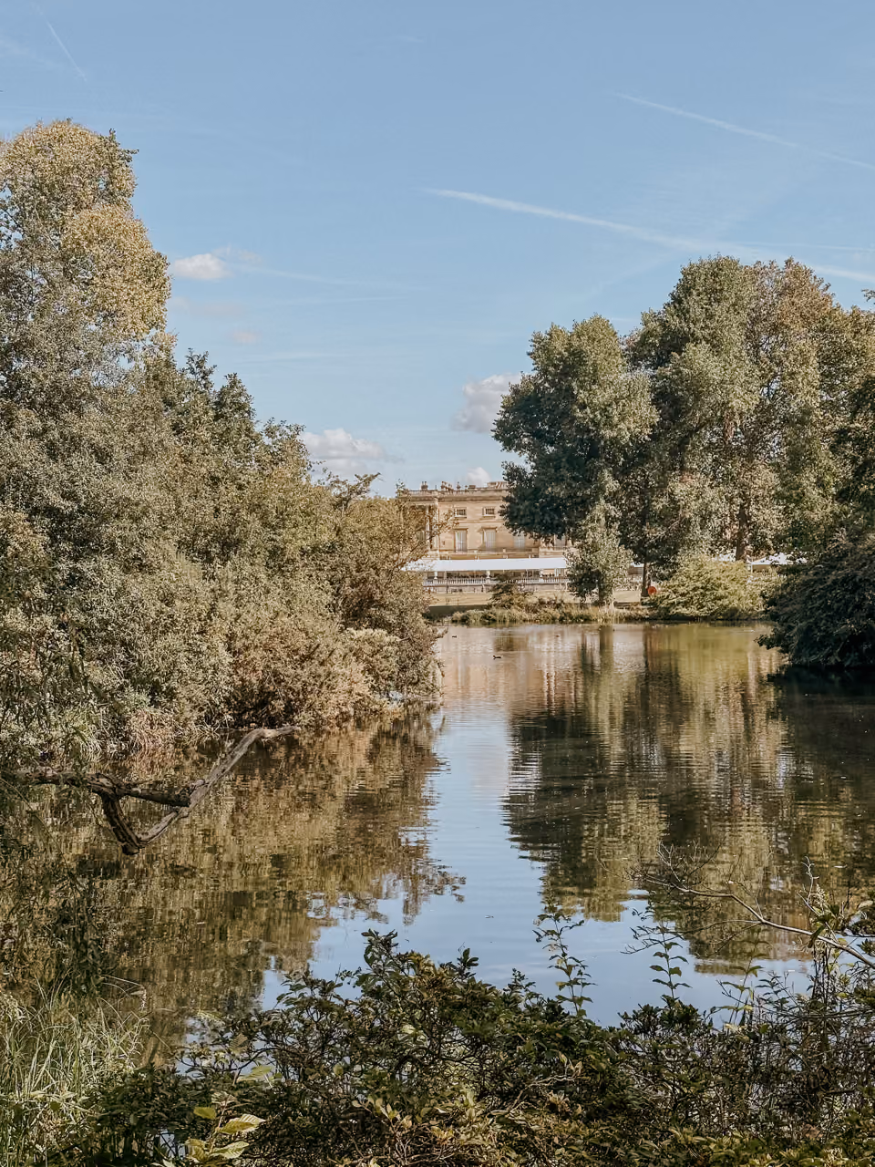 Calm river surrounded by dense trees with a large building visible in the background under a blue sky.