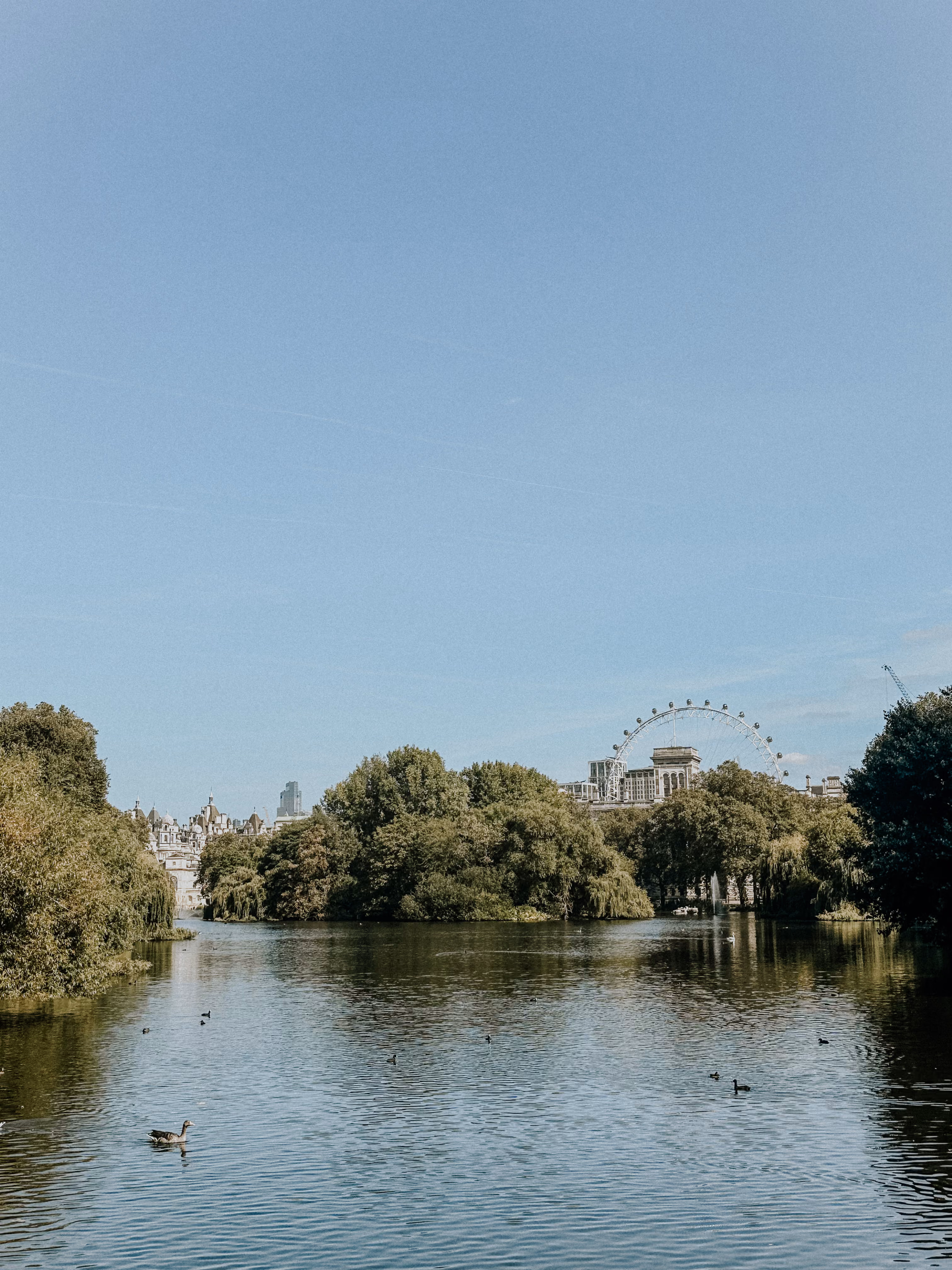 River with ducks and trees on both sides, London Eye visible in background under a clear blue sky.