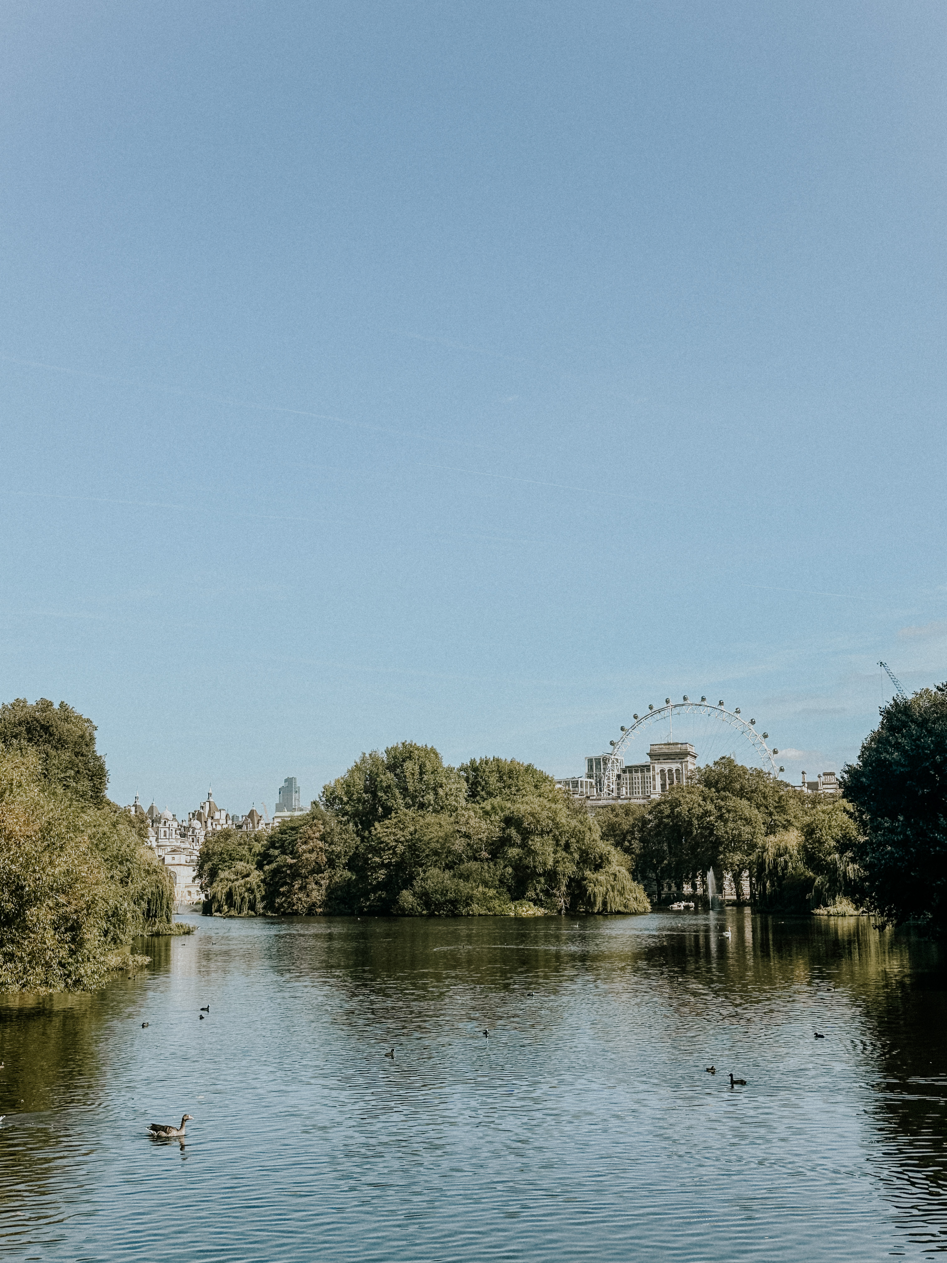 River with ducks and trees on both sides, London Eye visible in background under a clear blue sky.