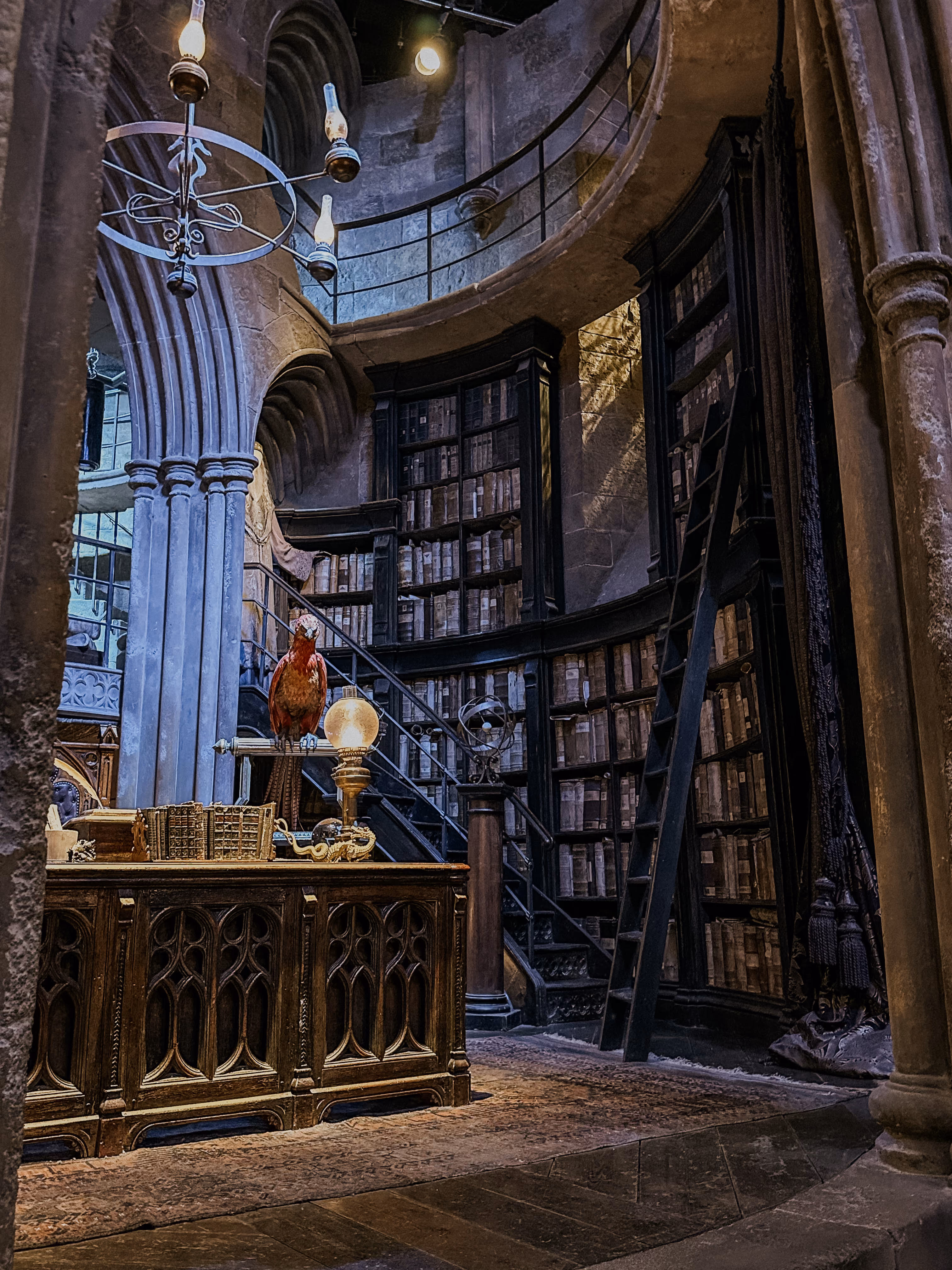 A curved library with tall bookshelves, a wooden ladder, desk, and a colorful parrot perched on a lamp.