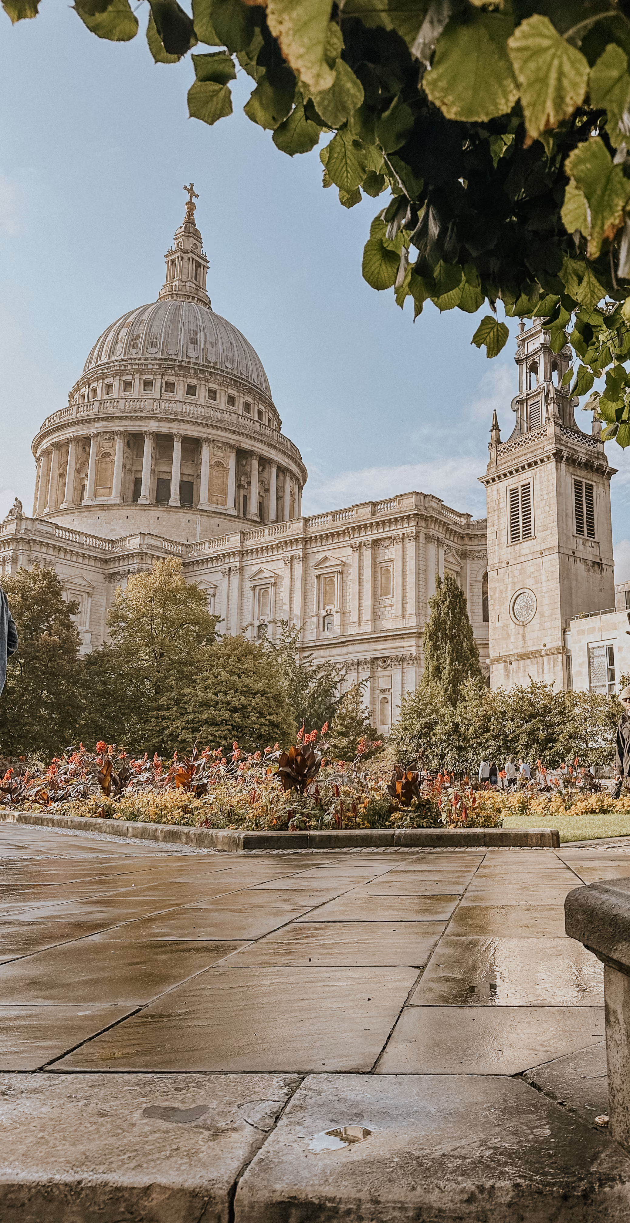 St. Paul's Cathedral with garden and wet pavement foreground, framed by green leaves above.