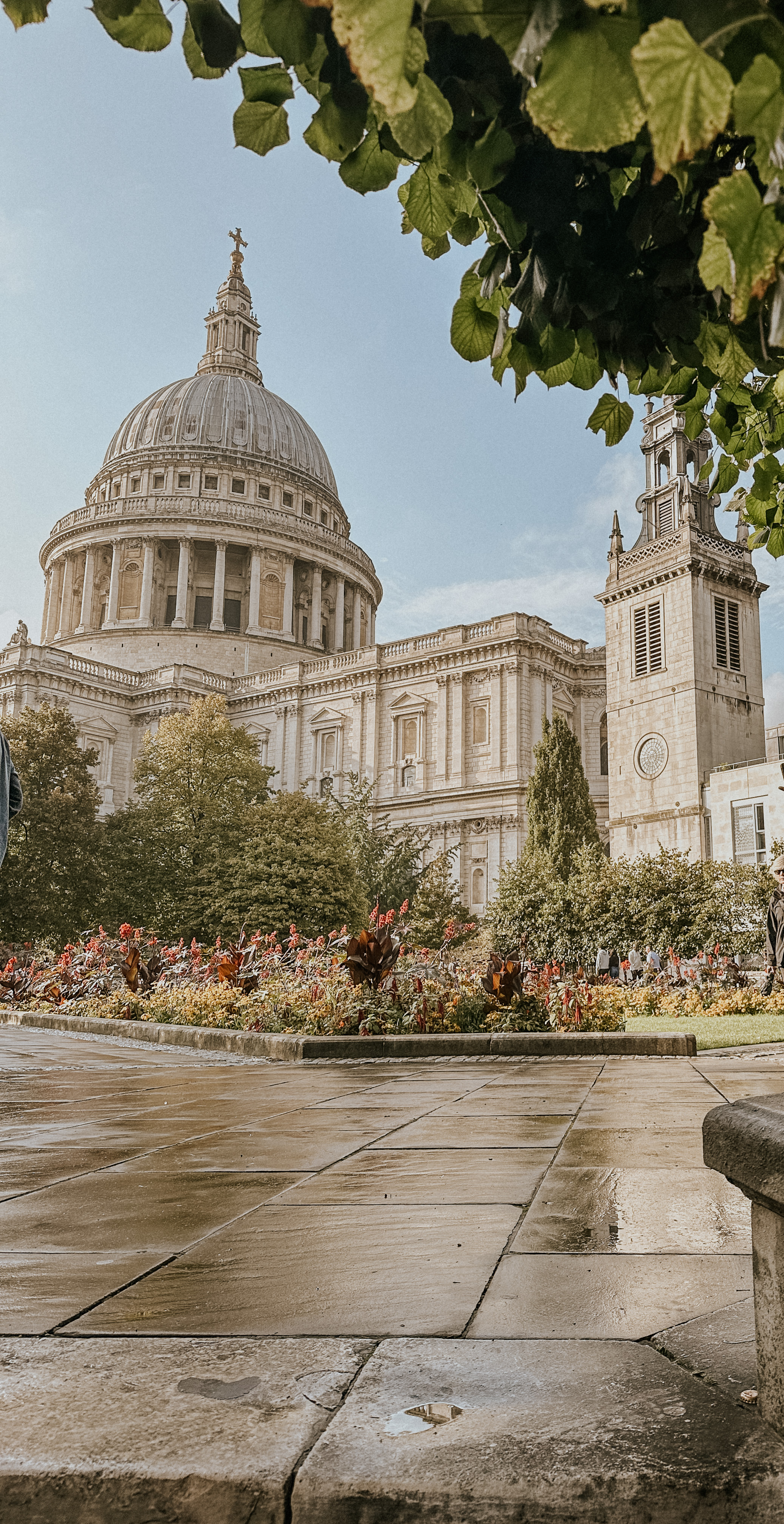 St. Paul's Cathedral with garden and wet pavement foreground, framed by green leaves above.