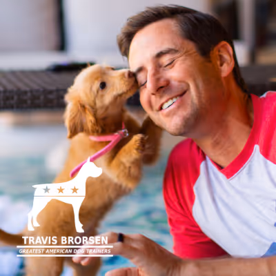 The Greatest American Dog Den