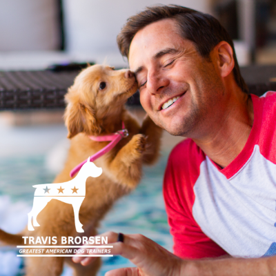 The Greatest American Dog Den