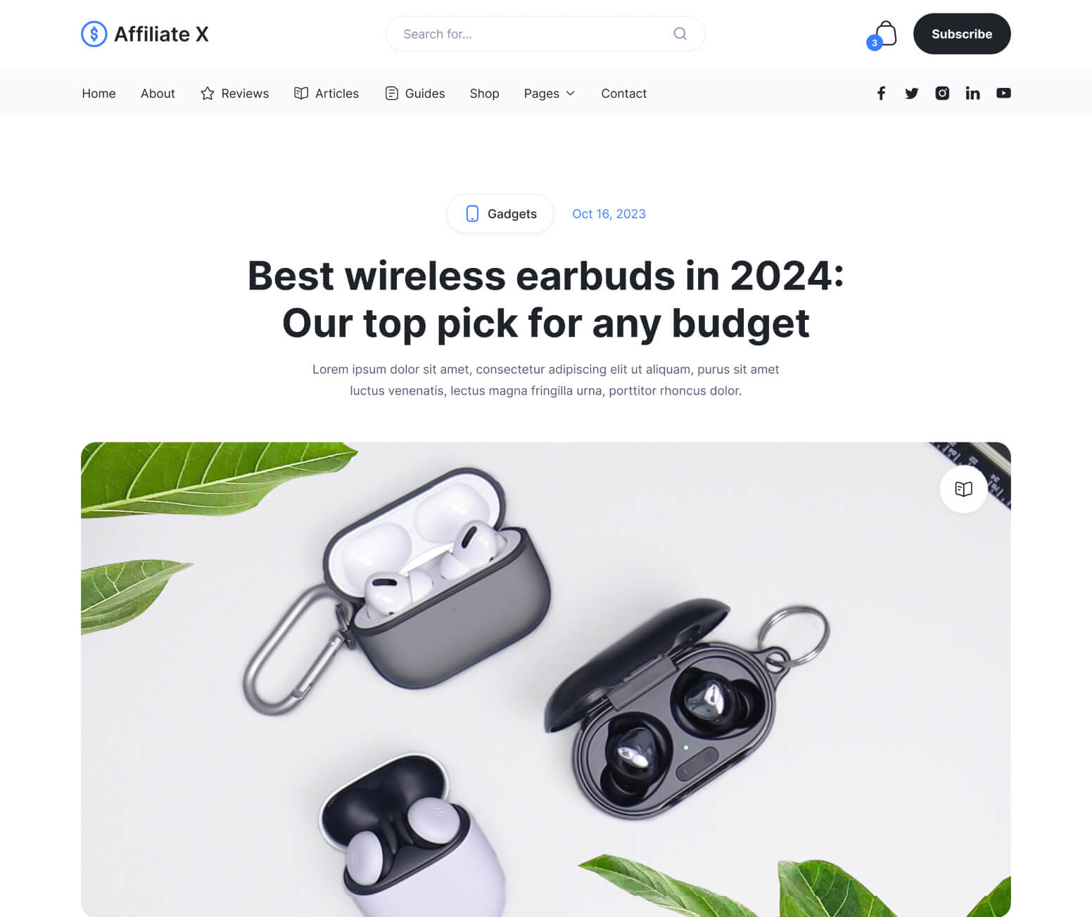 Affiliate X - Articles Single Page - Affiliate Blog Site Webflow Template