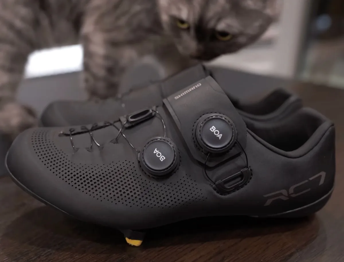 Black Shimano RC7 road cycling shoes with dual BOA dial closure system and perforated upper, displayed on a table with a cat visible in the background