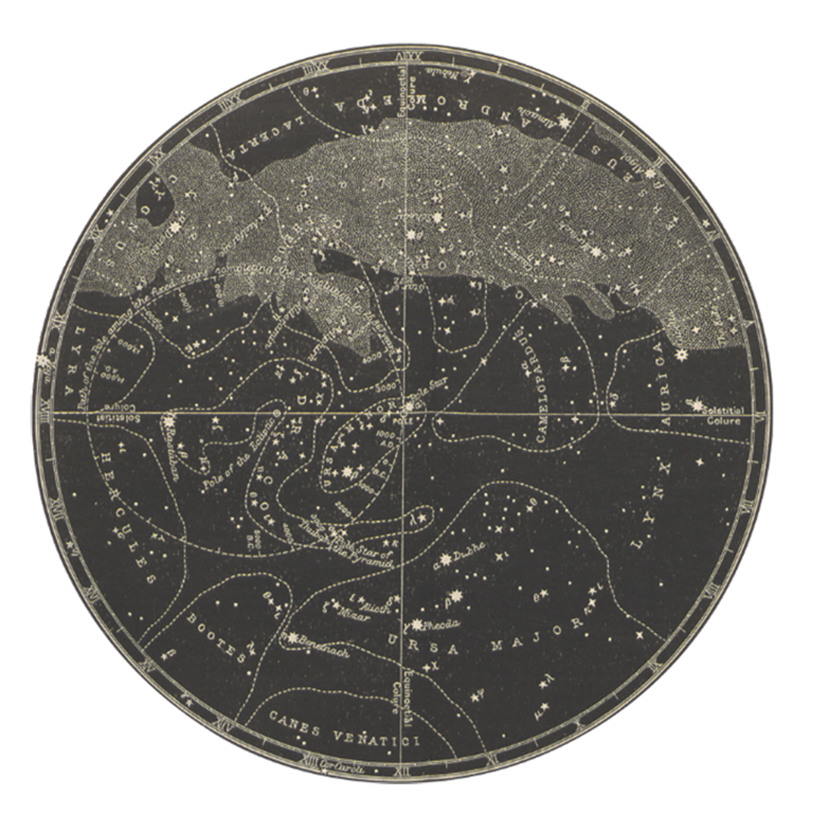 a circle that show some this like mao