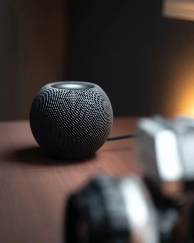 speaker image