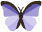 Fjäril symbol