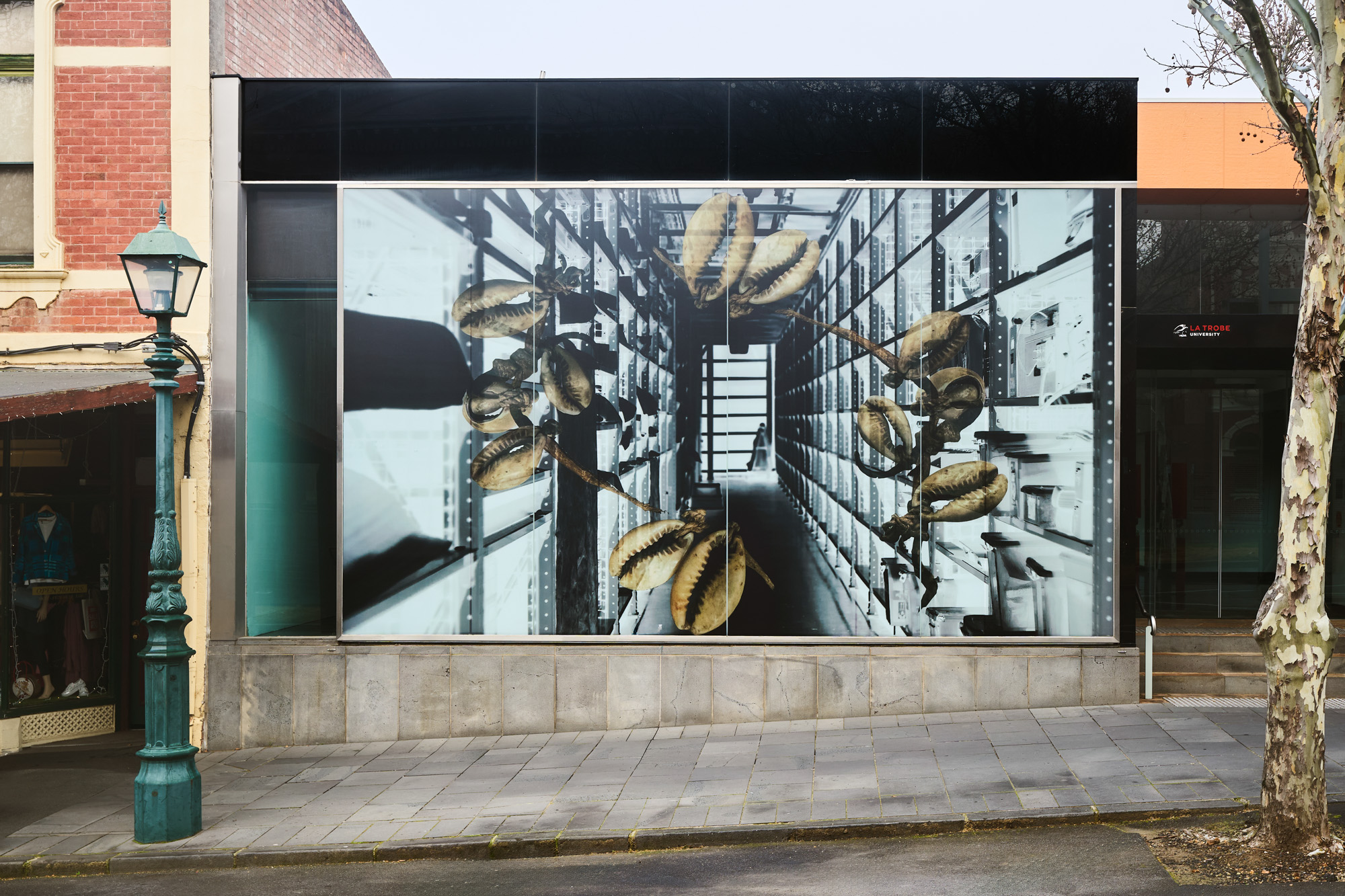 Daytime view of the gallery's large window artwork of cowrie shells floating over collection shelving, framed by a green lamp post and a plane tree.