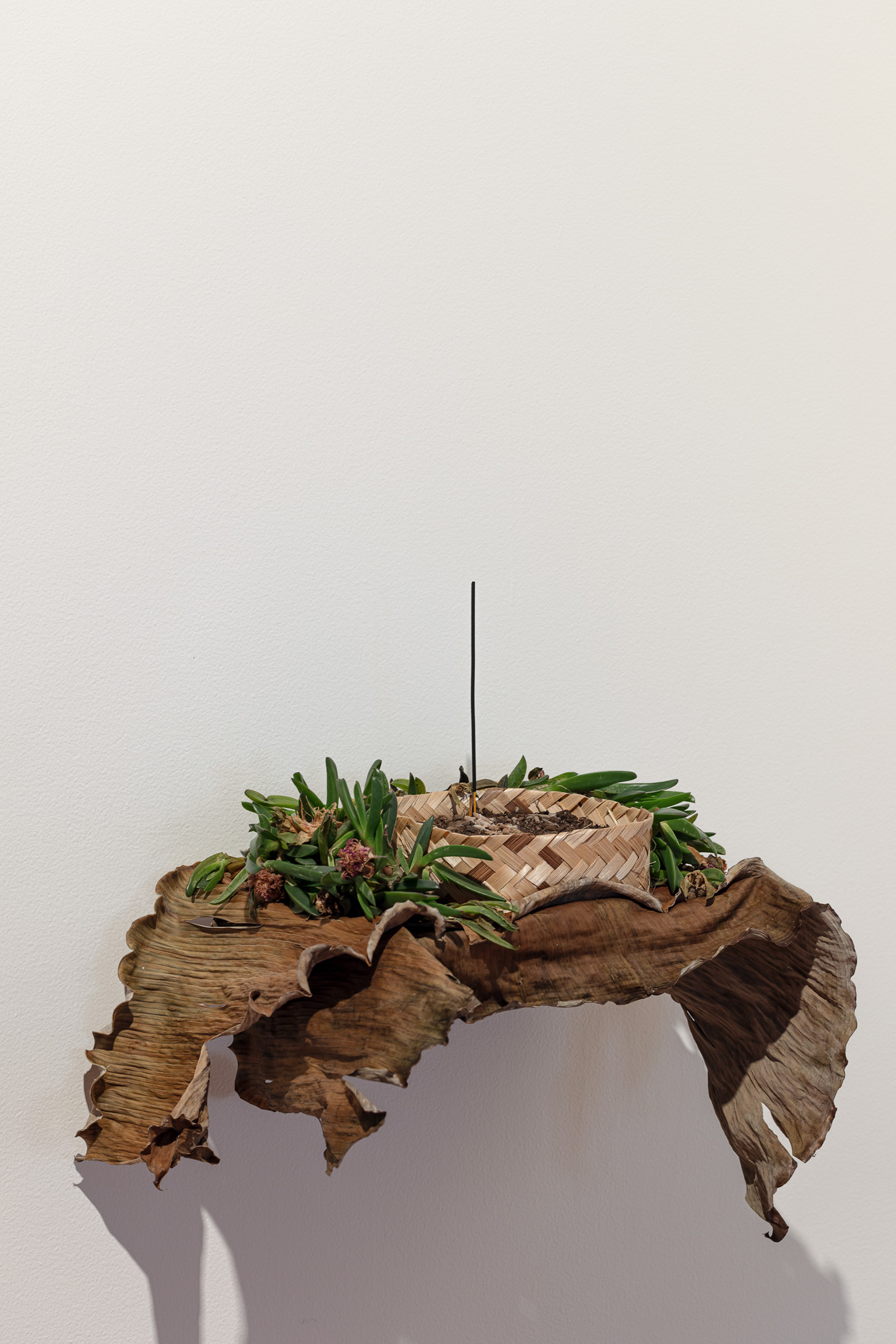 Front view of a wall-mounted organic sculpture composed of large dried leaves, green succulent foliage, faded flowers, soil, a woven bamboo basket, and a single upright incense stick, casting a strong shadow underneath.