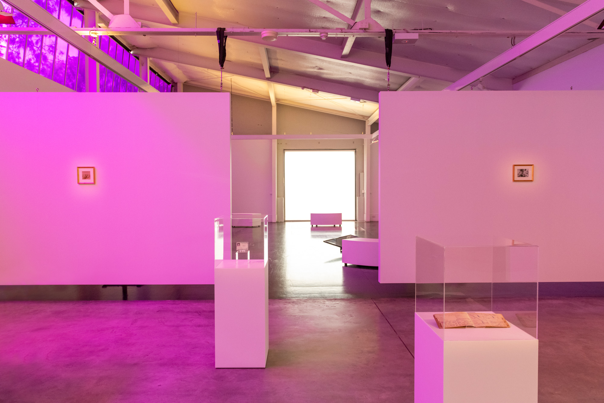 Wide installation view of a gallery illuminated by saturated pink and purple light, with two small framed photographs on suspended white walls and archival documents displayed in clear cases on white plinths.