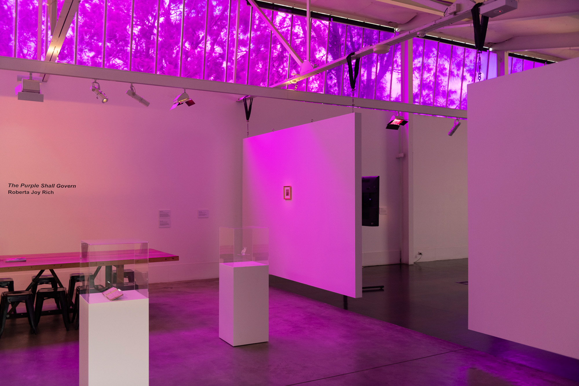 Installation view of Roberta Joy Rich’s 'The Purple Shall Govern,' with the exhibition title on the wall, framed photographs, archival objects in clear display cases, and purple-filtered windows casting magenta light throughout the gallery.