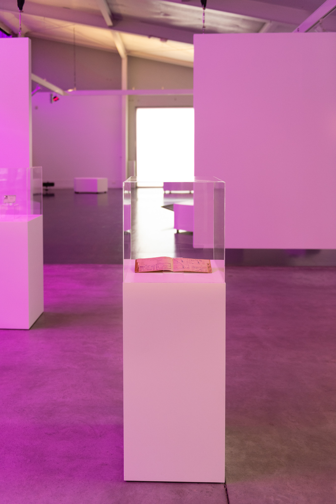 An open, handwritten booklet - a dompas - displayed beneath a clear acrylic cover on a tall white plinth, surrounded by suspended gallery walls and purple light.