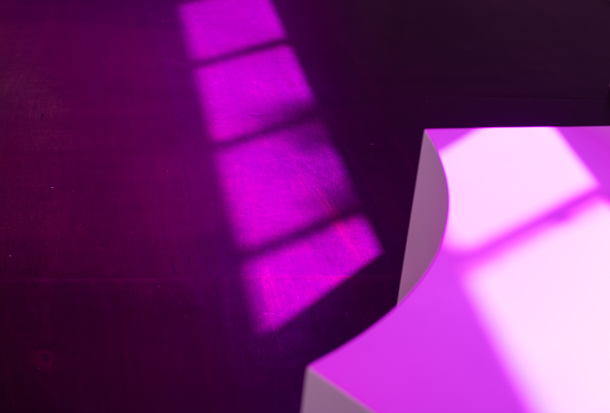 Detail of vivid purple window light falling in rectangular bands across the dark wood gallery floor and the curved edge of a white listening bench.