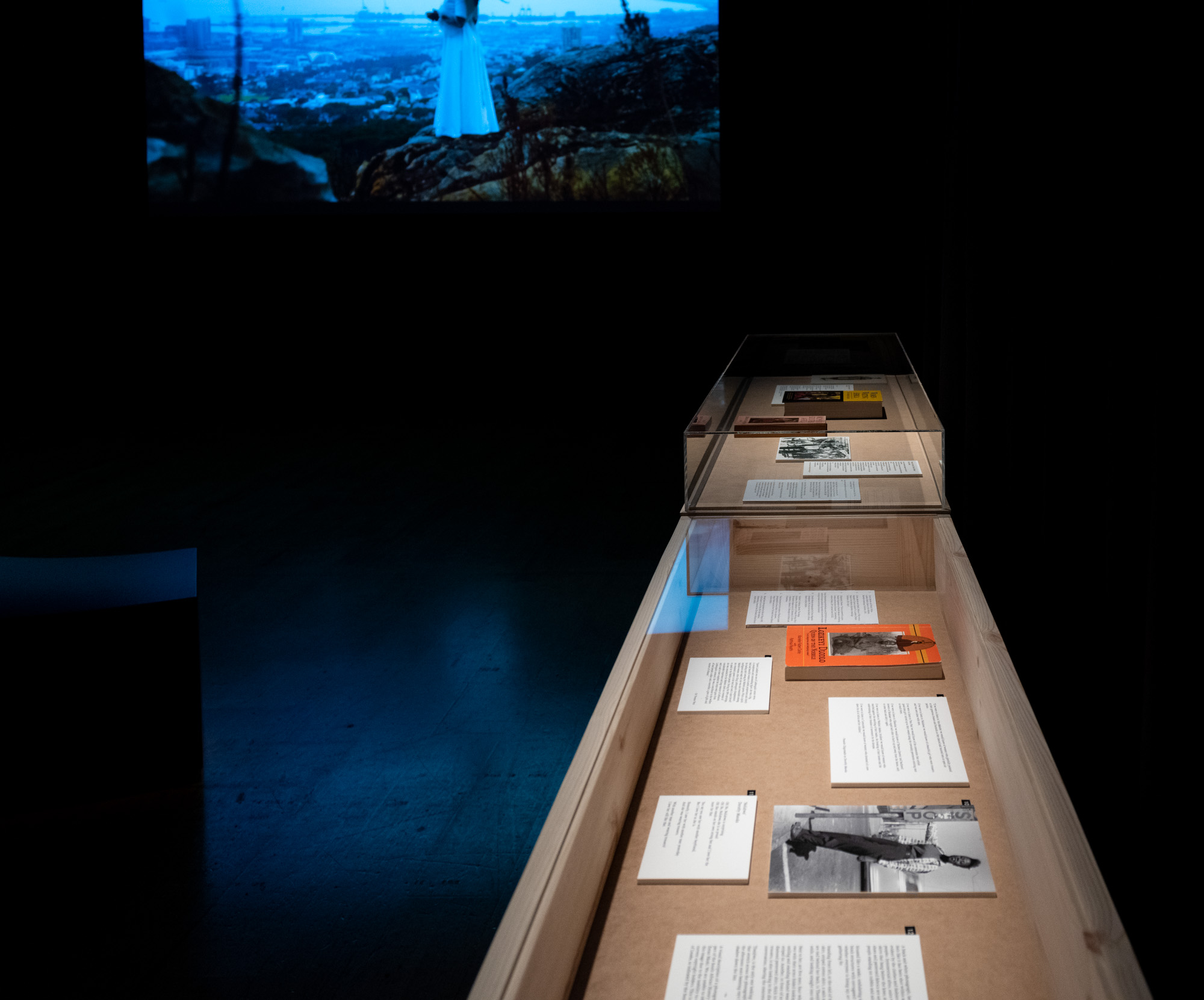 A dimly lit vitrine of books, photographs and text cards, including an orange paperback about Lozikeyi Dlodlo, Queen of the Ndebele. Behind, a projection shows a figure in a long white dress standing on rocks above a distant city.