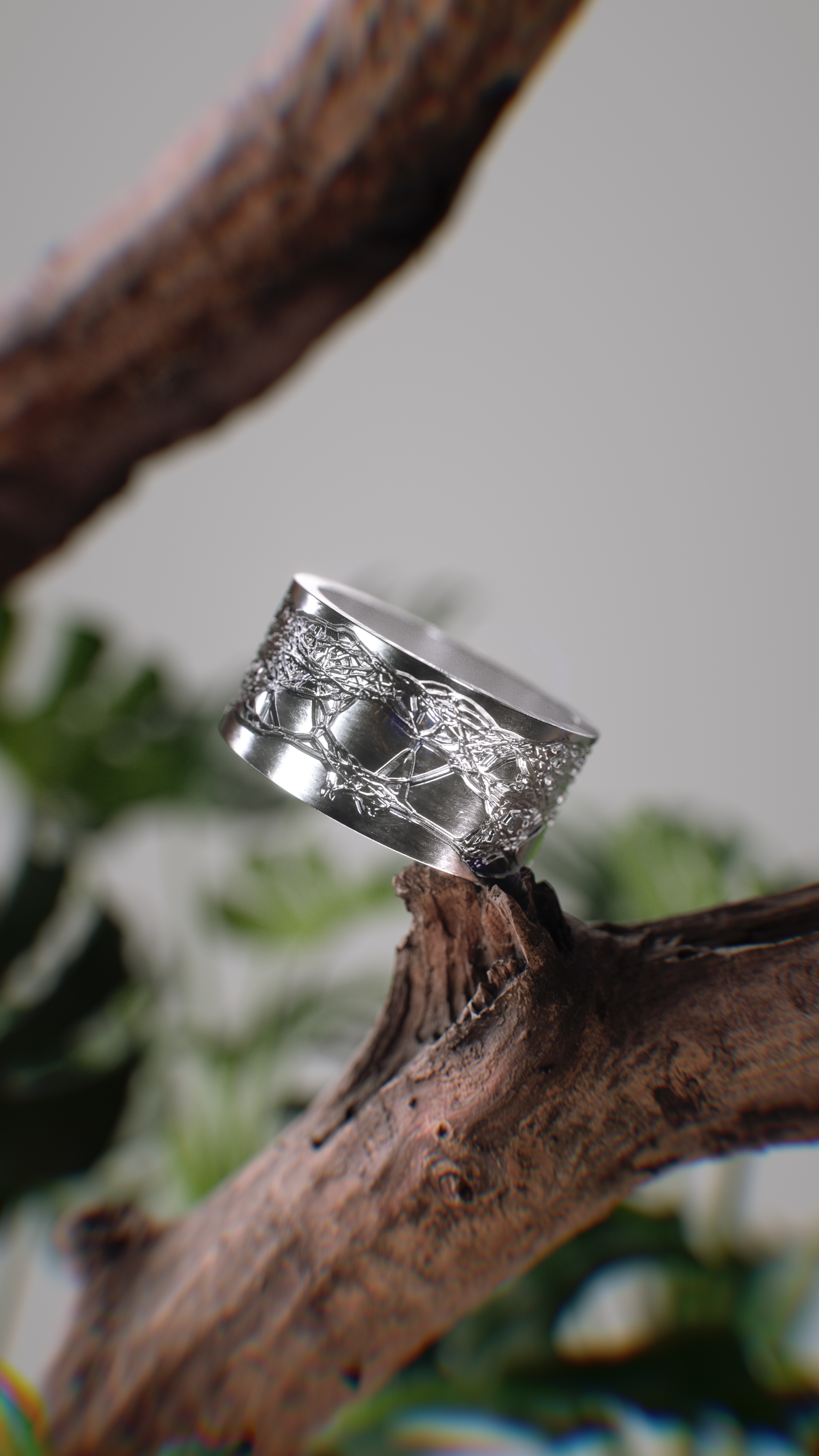 Linel Project Thumbnail