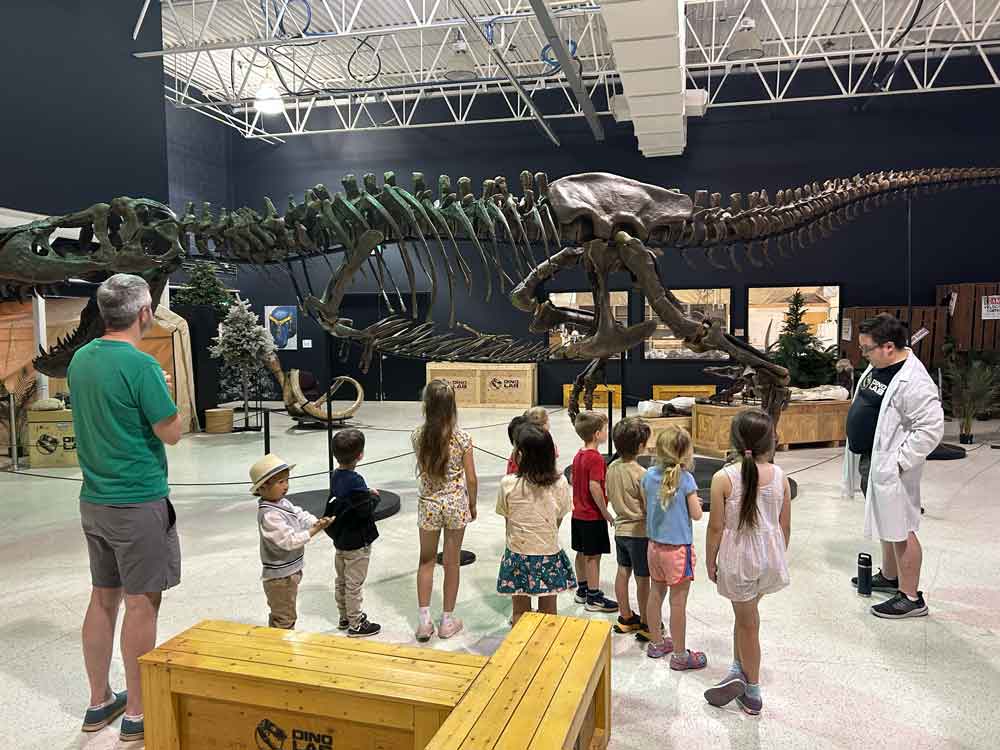 Dino Lab