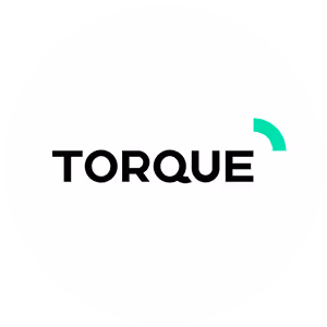company Logo - Torque SEO