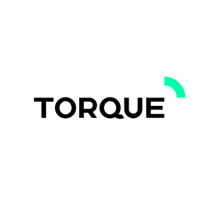 company Logo - Torque SEO