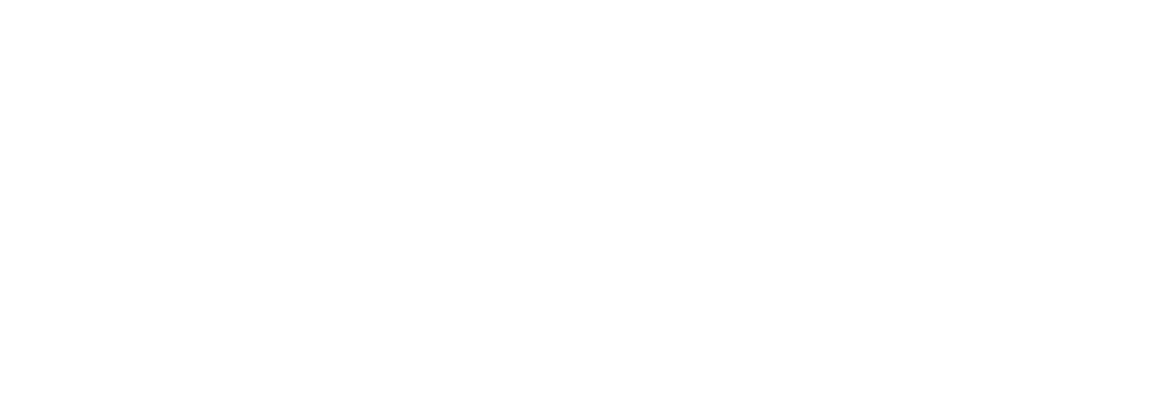 nzz logo