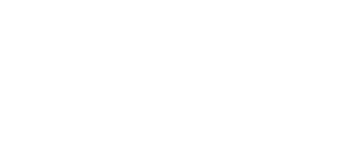 blick logo