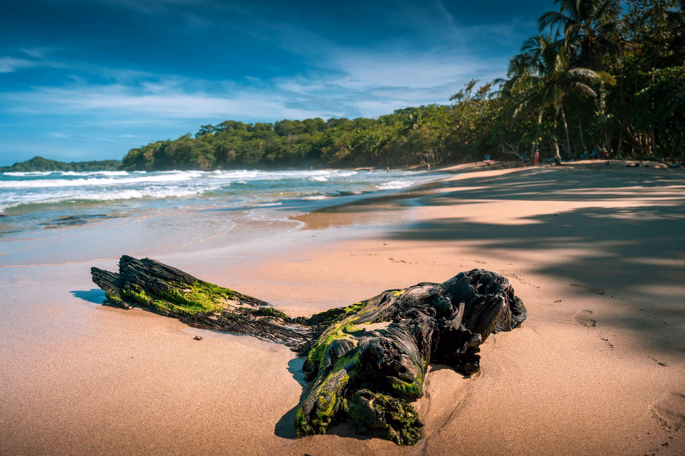 A scenic beach on the Caribbean Coast in Costa Rica