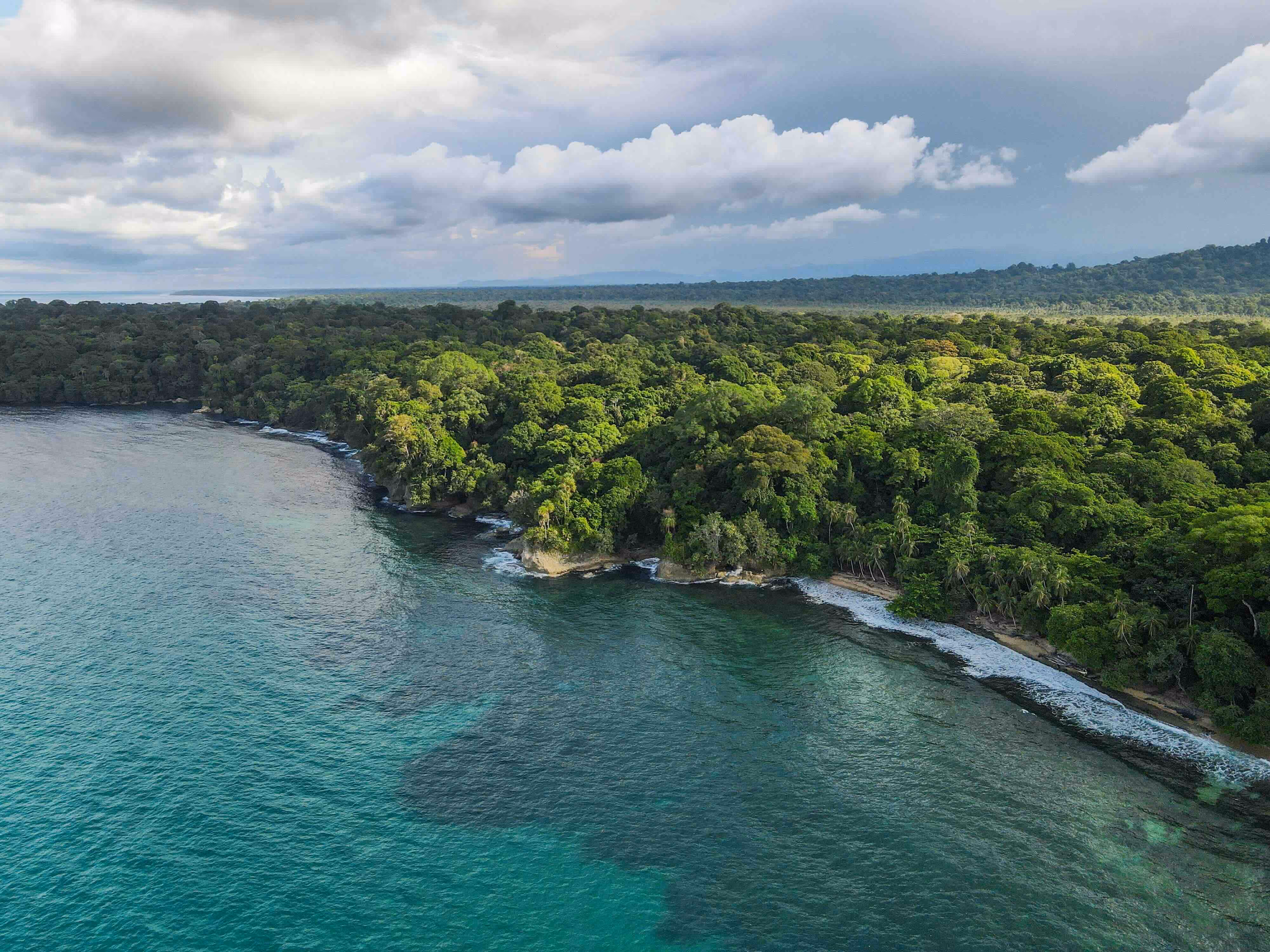 An arial view of the rainforest on the Costa Rican coast.