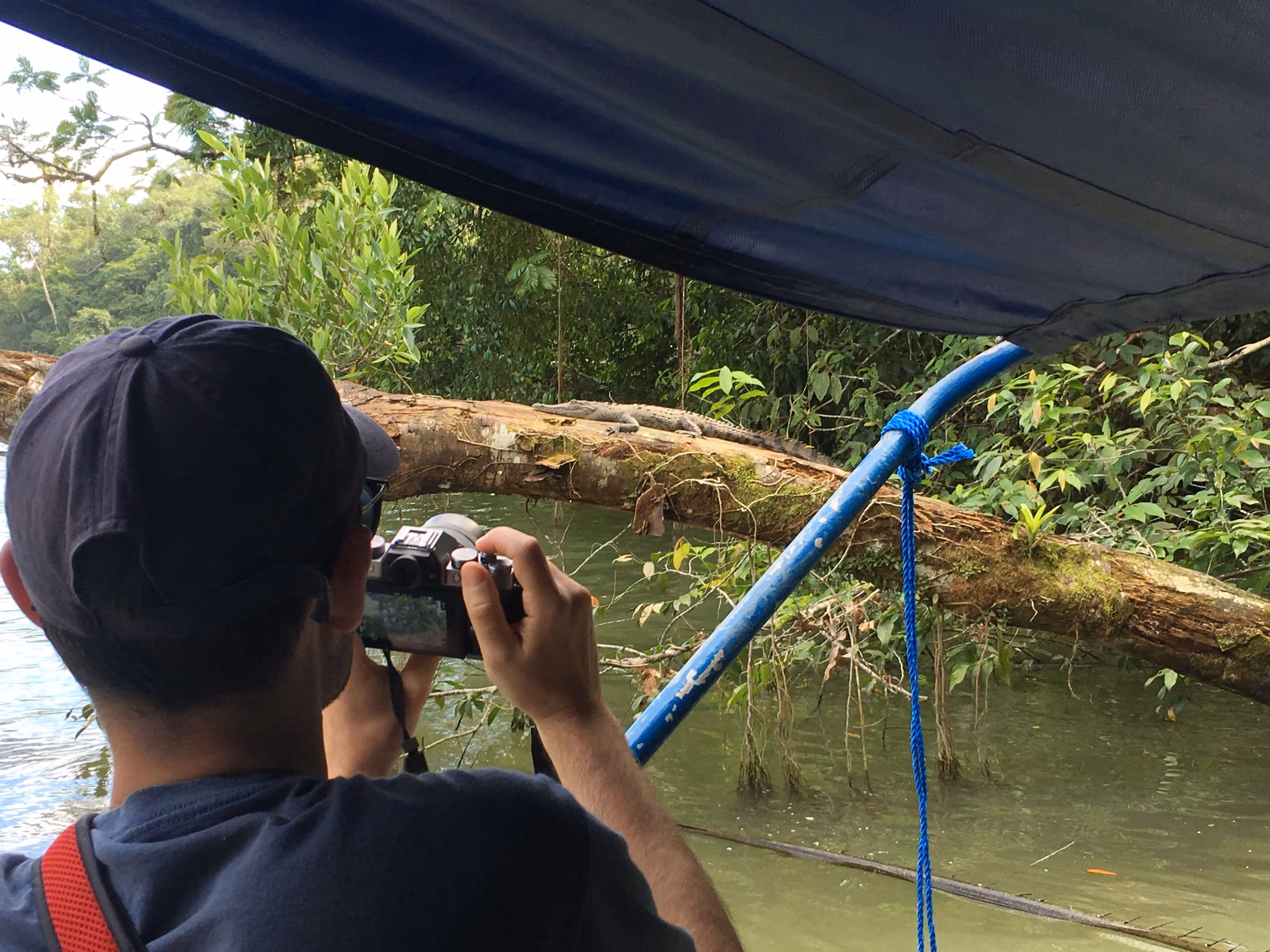 A man on a boat taking a photo of a crocodile crawling on a tree hanging above a river.