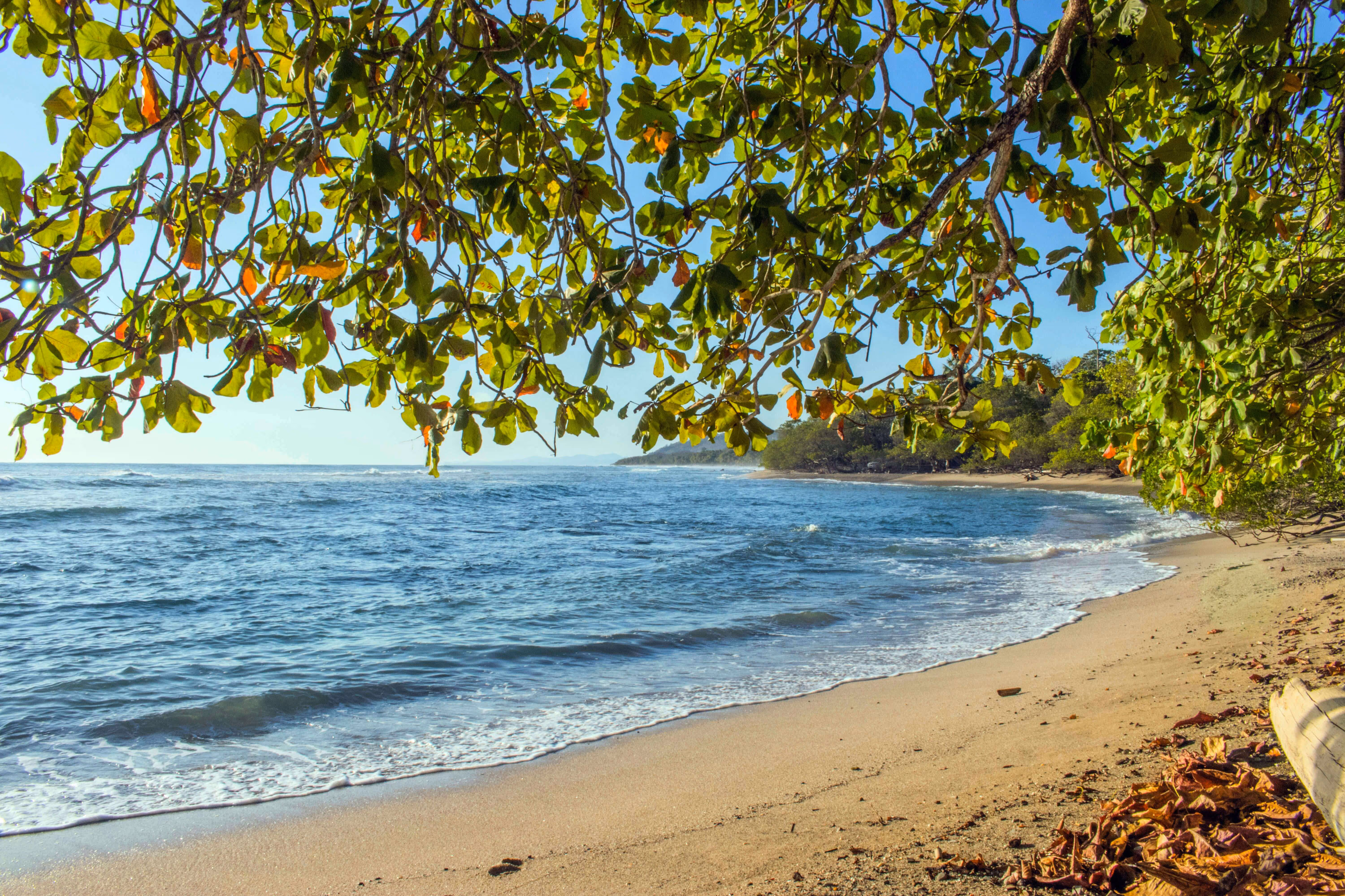 A scenic panorama of a beach in Manzillo ,Costa Rica.