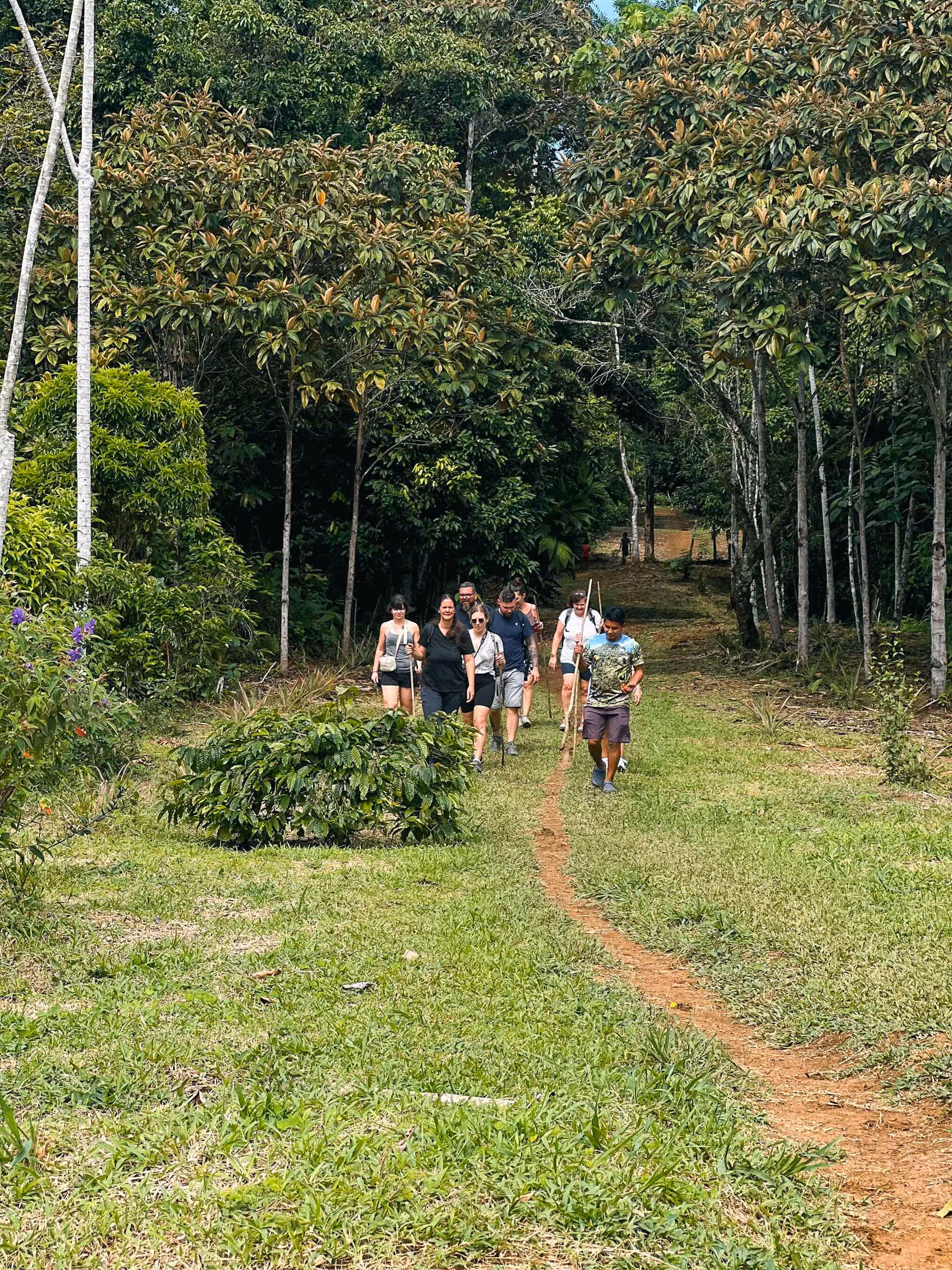 A Sticos group walking through the jungle in Costa Rica with their expert guide.