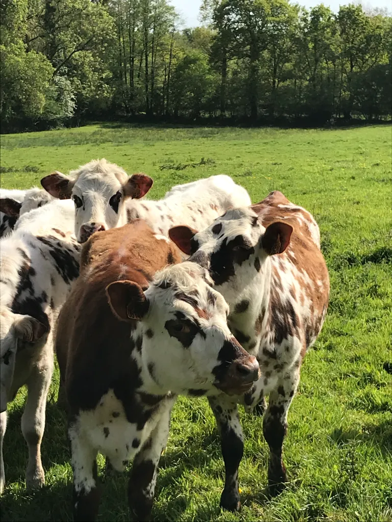 image of themed event decorations (for a bakery)