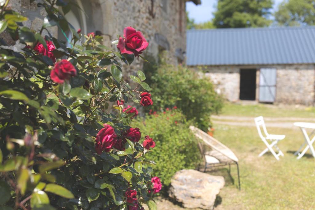 image of calming clinic atmosphere