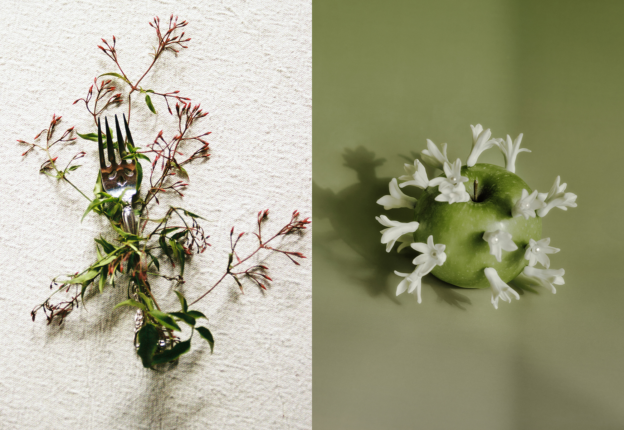 Artistic floral still life with fork and apple sculpture – Fork entwined with jasmine stems; green apple with white blossoms, fine-art floral styling.