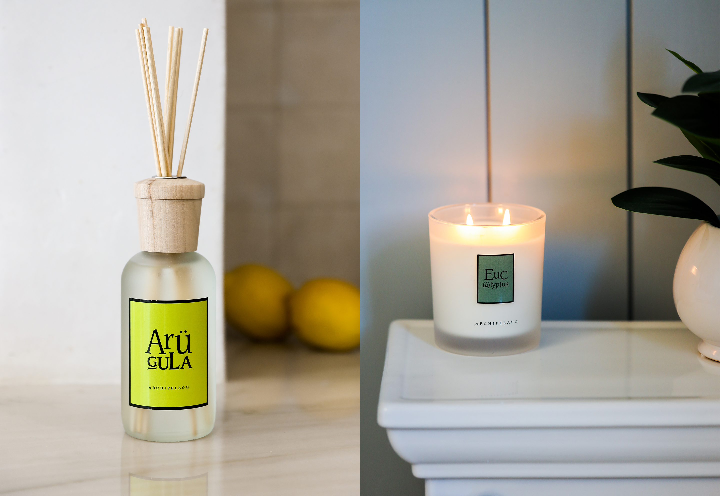 Archipelago Botanicals Arugula diffuser with lemons and Eucalyptus candle on white cabinet with greenery