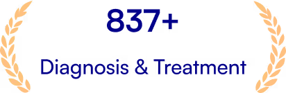 Home Stats Image