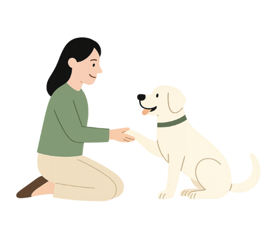 A person sitting opposite a dog and holding the dog's paw in their hand