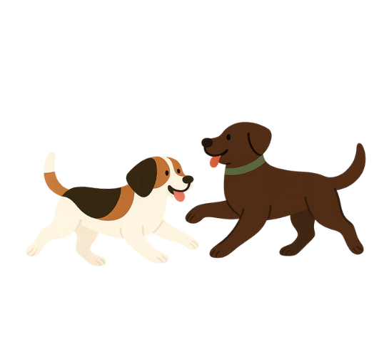 Two dogs playing together