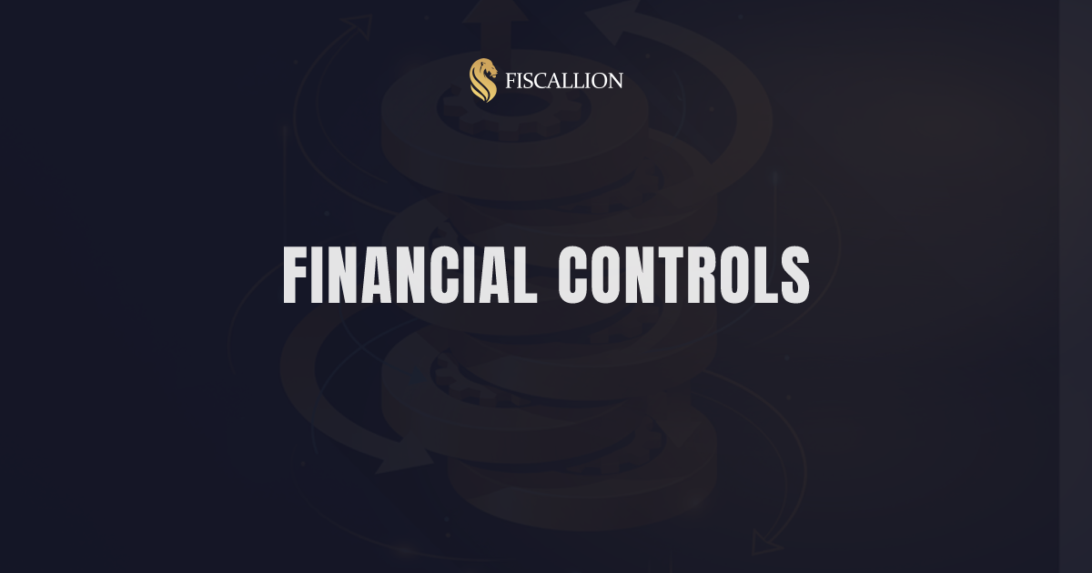 Startup financial controls: the CFO-level framework for $5–50M ARR companies