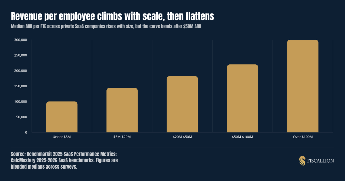Revenue per employee climbs with scale, then flattens